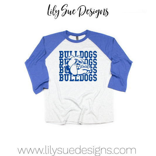 VM Adult Raglan